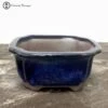Blue Irregular Ceramic Pot (17.5) -BonsaiHub Shop Screenshot 2022 08 01 at 13.28.471