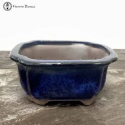 Blue Irregular Ceramic Pot (17.5)