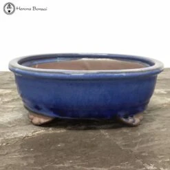 Blue Oval Ceramic Pot (18cm) -BonsaiHub Shop Screenshot 2022 08 01 at 13.44.021