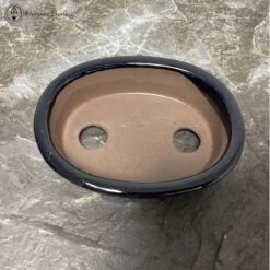 Mame (Miniature) Bonsai Pot (11cm) | Blue 8 Mame (Miniature) Bonsai Pot (11cm) | Blue -BonsaiHub Shop Screenshot 2022 08 02 at 14.26.40