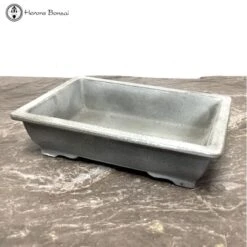 Silver Fox Matt Rectangle (28cm) -BonsaiHub Shop Screenshot 2022 10 27 at 13.16.471 2