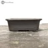 Unglazed Rectangle Bonsai Pot (15.5cm) -BonsaiHub Shop Screenshot 2022 11 08 at 10.09.271
