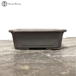 Unglazed Rectangle Bonsai Pot (15.5cm)