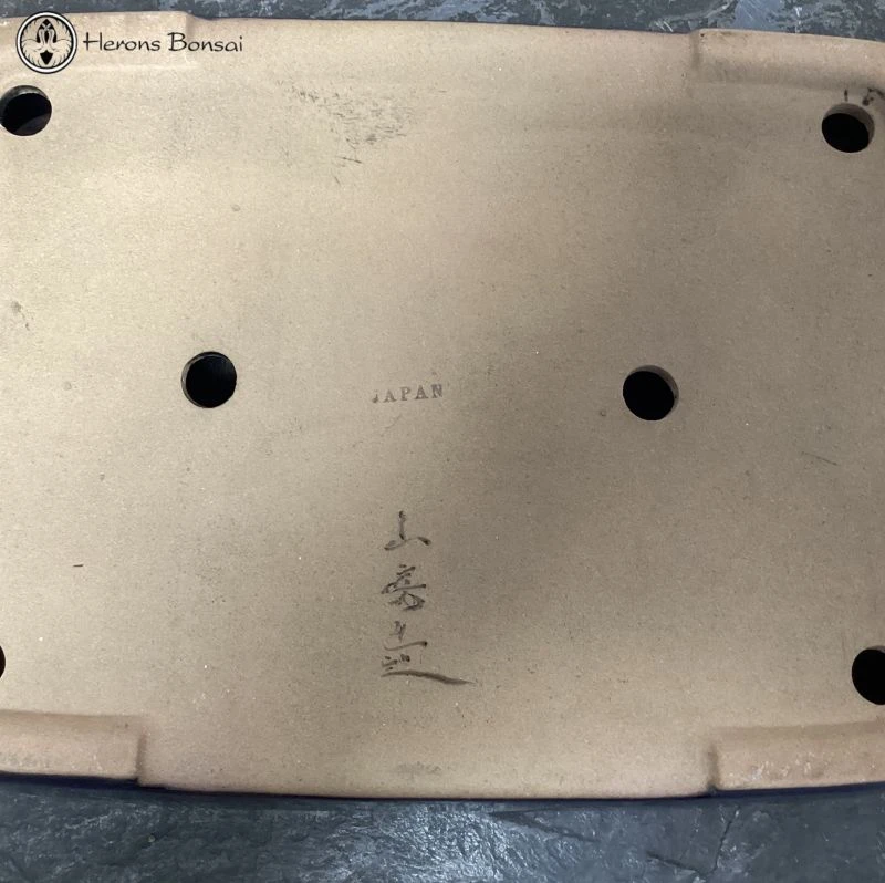 Japanese Bonsai Pot (35cm) | Signed 4 Japanese Bonsai Pot (35cm) | Signed - Image 2