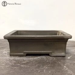 Unglazed Rectangle Bonsai Pot | Japanese | 25cm