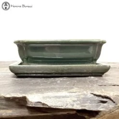 Green Irregular Shaped Bonsai Pot & Drip Tray (18.5cm) -BonsaiHub Shop Screenshot 2022 12 30 at 13.03.191