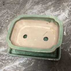 Green Irregular Shaped Bonsai Pot & Drip Tray (18.5cm) -BonsaiHub Shop Screenshot 2022 12 30 at 13.04.401