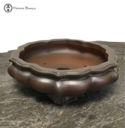 Unglazed Lotus Shaped Pot (25cm) -BonsaiHub Shop Screenshot 20220214 at 11.14.441