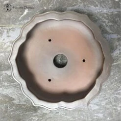 Unglazed Lotus Shaped Pot (25cm) -BonsaiHub Shop Screenshot 20220214 at 11.17.381