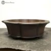 Unglazed Lotus Shaped Pot (37cm) -BonsaiHub Shop Screenshot 20220215 at 12.40.401
