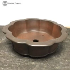 Unglazed Lotus Shaped Pot (37cm) -BonsaiHub Shop Screenshot 20220215 at 12.41.131