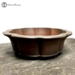 Unglazed Lotus Shaped Pot (37cm) -BonsaiHub Shop Screenshot 20220215 at 12.44.4921