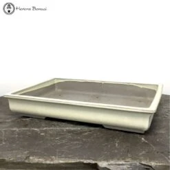 Cream Tokoname Bonsai Pot (47cm) -BonsaiHub Shop Screenshot 20220516 at 14.11.121