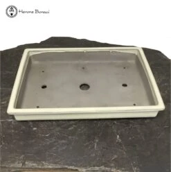 Cream Tokoname Bonsai Pot (47cm) -BonsaiHub Shop Screenshot 20220516 at 14.14.021