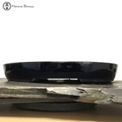 Dark Blue Glazed Oval Tokoname Bonsai Pot (46cm) -BonsaiHub Shop Screenshot 20220517 at 13.23.011