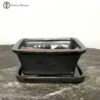 Black Rectangle Bonsai Pot & Drip Tray (18.5cm) -BonsaiHub Shop Screenshot 20220616 at 09.46.351 1