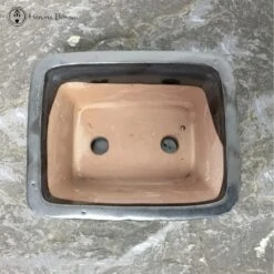 Black Rectangle Bonsai Pot & Drip Tray (18.5cm) -BonsaiHub Shop Screenshot 20220616 at 09.48.391 1