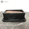 Black Rectangular Ceramic Bonsai Pot & Drip Tray (16.5cm)