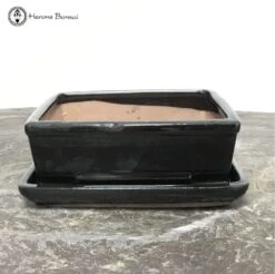 Black Rectangular Ceramic Bonsai Pot & Drip Tray (16.5cm)