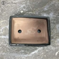 Black Rectangular Ceramic Bonsai Pot & Drip Tray (18.5cm) -BonsaiHub Shop Screenshot 20220616 at 10.06.061