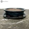 Blue Oval Ceramic Bonsai Pot & Drip Tray (15.5cm) -BonsaiHub Shop Screenshot 20220616 at 10.09.021