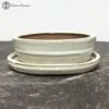 Cream Oval Ceramic Bonsai Pot & Drip Tray (18.5cm) -BonsaiHub Shop Screenshot 20220616 at 10.39.071 1