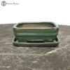 Green Irregular Shaped Bonsai Pot & Drip Tray (15.5cm) -BonsaiHub Shop Screenshot 20220616 at 11.05.351