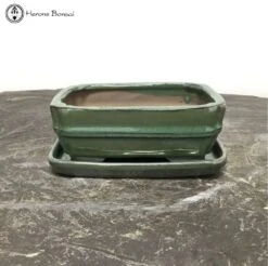 Green Irregular Shaped Bonsai Pot & Drip Tray (15.5cm)
