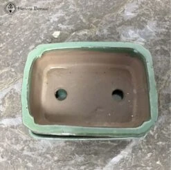 Green Irregular Shaped Bonsai Pot & Drip Tray (15.5cm) -BonsaiHub Shop Screenshot 20220616 at 11.09.081