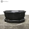 Black Irregular Bonsai Pot & Drip Tray (18cm) -BonsaiHub Shop Screenshot 20220616 at 13.51.521