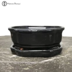 Black Irregular Bonsai Pot & Drip Tray (18cm)