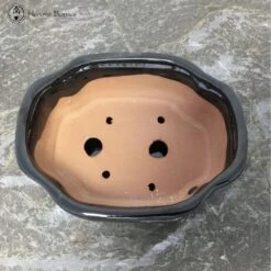 Black Irregular Bonsai Pot & Drip Tray (18cm) -BonsaiHub Shop Screenshot 20220616 at 13.56.521