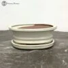 Cream Oval Bonsai Pot & Drip Tray (18.5cm)