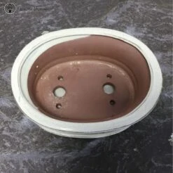 Cream Oval Bonsai Pot & Drip Tray (18.5cm) -BonsaiHub Shop Screenshot 20220624 at 10.21.461