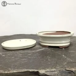 Cream Oval Bonsai Pot & Drip Tray (18.5cm) -BonsaiHub Shop Screenshot 20220624 at 10.23.301