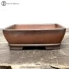 Unglazed Two Tone Rectangle Bonsai Pot (17cm) -BonsaiHub Shop Screenshot 2023 02 07 at 11.17.2321