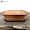Unglazed Two Tone Irregular Shaped Bonsai Pot (22cm) 2 Unglazed Two Tone Irregular Shaped Bonsai Pot (22cm) -BonsaiHub Shop Screenshot 2023 02 07 at 12.43.031