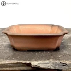 Unglazed Two Tone Irregular Shaped Bonsai Pot (22cm)