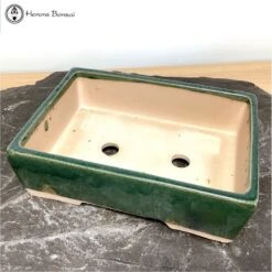 Green Rectangle Ceramic Bonsai Pot (33cm) -BonsaiHub Shop Screenshot 2023 02 08 at 10.27.241
