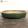 Green Oval Bonsai Pot (18cm) -BonsaiHub Shop Screenshot 2023 02 16 at 10.13.311