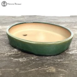 Green Oval Bonsai Pot (18cm) -BonsaiHub Shop Screenshot 2023 02 16 at 10.14.291
