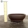 Unglazed Round Bonsai Pot (14cm) -BonsaiHub Shop Screenshot 2023 02 16 at 13.47.451