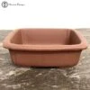 Unglazed Bonsai Pot (20cm) -BonsaiHub Shop Screenshot 2023 02 21 at 13.42.351