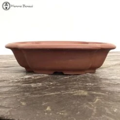 Unglazed Lotus Shaped Bonsai Pot (21cm) -BonsaiHub Shop Screenshot 2023 02 21 at 13.49.121