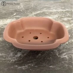 Unglazed Lotus Shaped Bonsai Pot (21cm) -BonsaiHub Shop Screenshot 2023 02 21 at 13.50.02