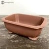 Unglazed Irregular Shaped Bonsai Pot (24cm) -BonsaiHub Shop Screenshot 2023 02 21 at 13.56.481