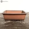 Unglazed Two Tone Rectangle Bonsai Pot (22cm) -BonsaiHub Shop Screenshot 2023 02 24 at 10.34.151