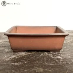 Unglazed Two Tone Rectangle Bonsai Pot (22cm)