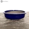 Quality Blue Oval Bonsai Pot (24cm) -BonsaiHub Shop Screenshot 2023 02 27 at 10.47.401