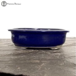 Quality Blue Oval Bonsai Pot (24cm) -BonsaiHub Shop Screenshot 2023 02 27 at 10.48.161